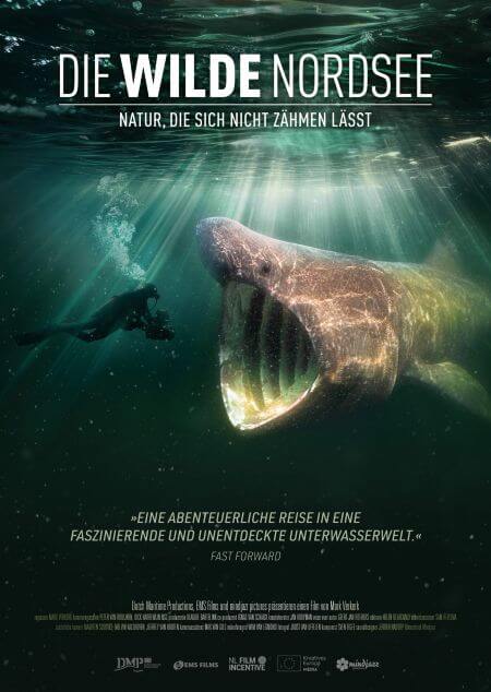 Die wilde Nordsee - Natur, die sich nicht zähmen lässt
